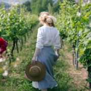 Veranstaltungen im Proschwitzer Weinberg