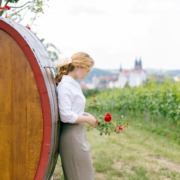 Veranstaltungen im Proschwitzer Weinberg